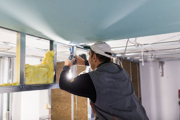Best Residential Insulation in Colwyn, PA