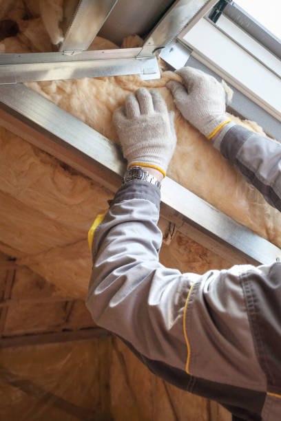 Best Insulation for Specific Applications in Colwyn, PA